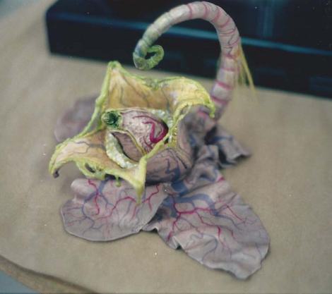 [the "veal fruit/nano 7275" as envisioned by The Professor's former student jayson pegler]